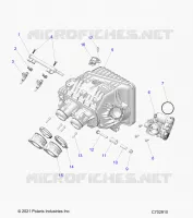 ENGINE, INTAKE INTAKE MANIFOLD, CUERPO DE MARIPOSA, FUEL RAIL- Z24NME99RM/SM (C702910)