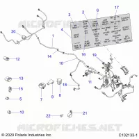 ELECTRICA, HARNESS