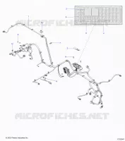 ELECTRICA, WIRE HARNESS