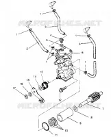 Bomba de aceite XLT TOURING 0952857 and  EUROPEAN XLT TOURING E952857 (4929172917C013)