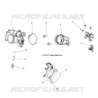 ENGINE, CUERPO DE MARIPOSA AND FUEL RAIL
