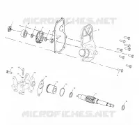 BOMBA DE AGUA/BOMBA DE ACEITE (500)
