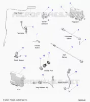 ELECTRICA, COMPONENTS
