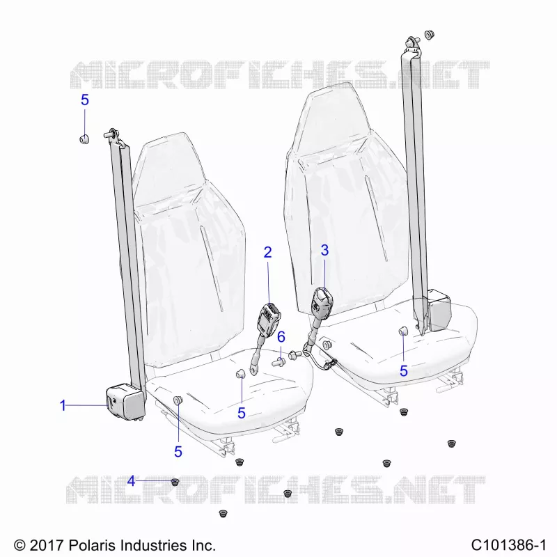 ASIENTO BELTS