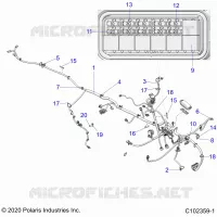 ELECTRICA, HARNESS