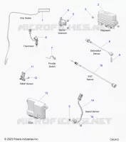 ELECTRICA, COMPONENTS