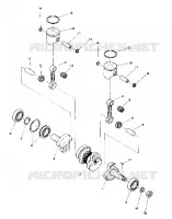 PISTON AND CIGUEÑAL (4909550955017A)