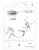 ELECTRICA, WIRE HARNESS