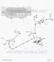 ELECTRICA, WIRE HARNESS