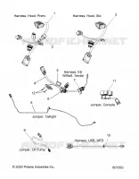 ELECTRICA, JUMPERS/WIRE HARNESS
