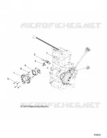 CUERPO DE MARIPOSA AND FUEL RAIL