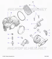 ENGINE, CUERPO DE MARIPOSA AND FUEL RAIL