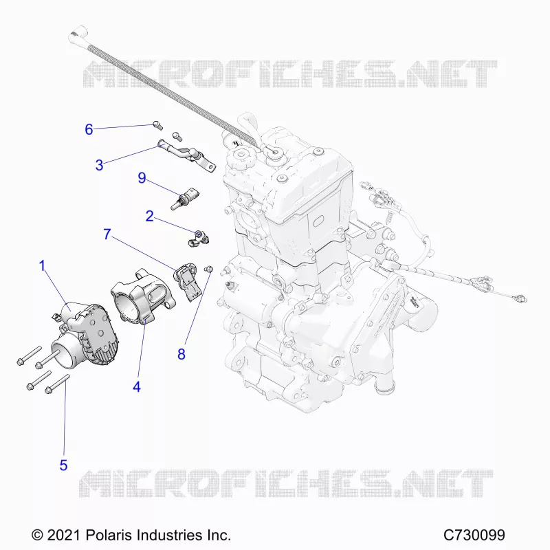 ENGINE, CUERPO DE MARIPOSA AND FUEL RAIL