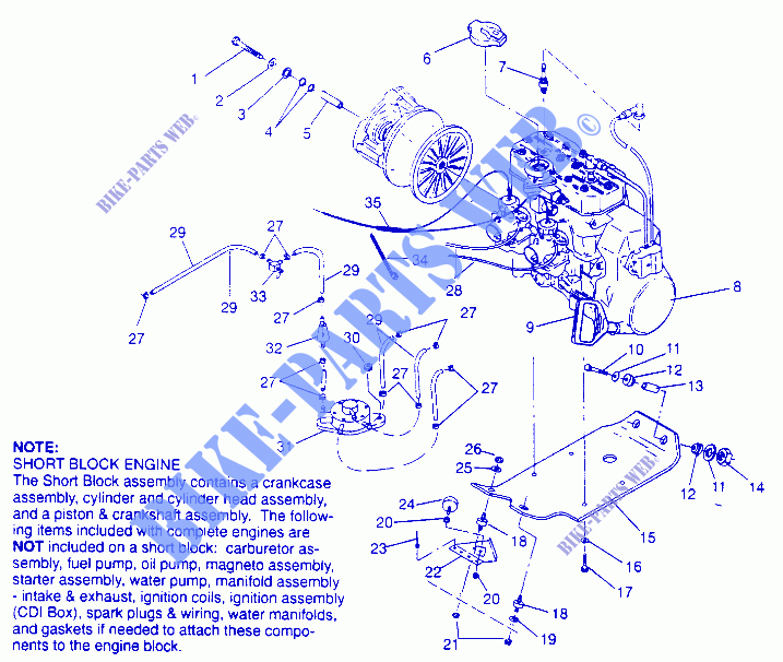 MONTAJE DEL MOTOR WIDETRAK LX 0952064 and  EUROPEAN WIDETRAK LX E952064 (4928942894C003) para Polaris WIDETRAK 1995